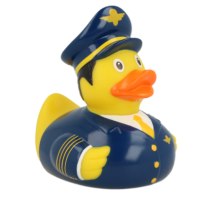 Pilot Duck
