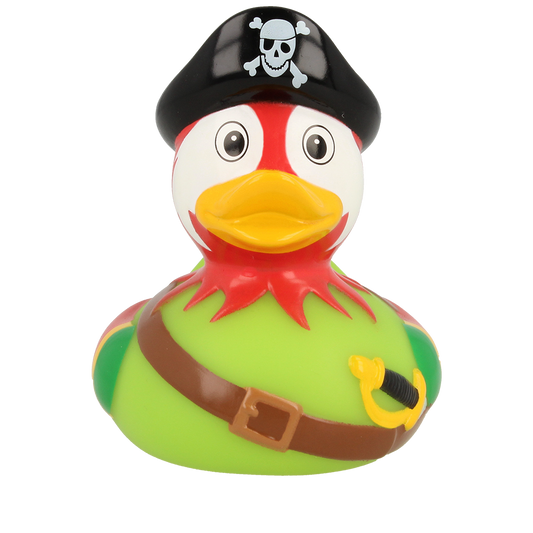 Parrot Pirate Duck