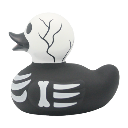 Skeleton Duck