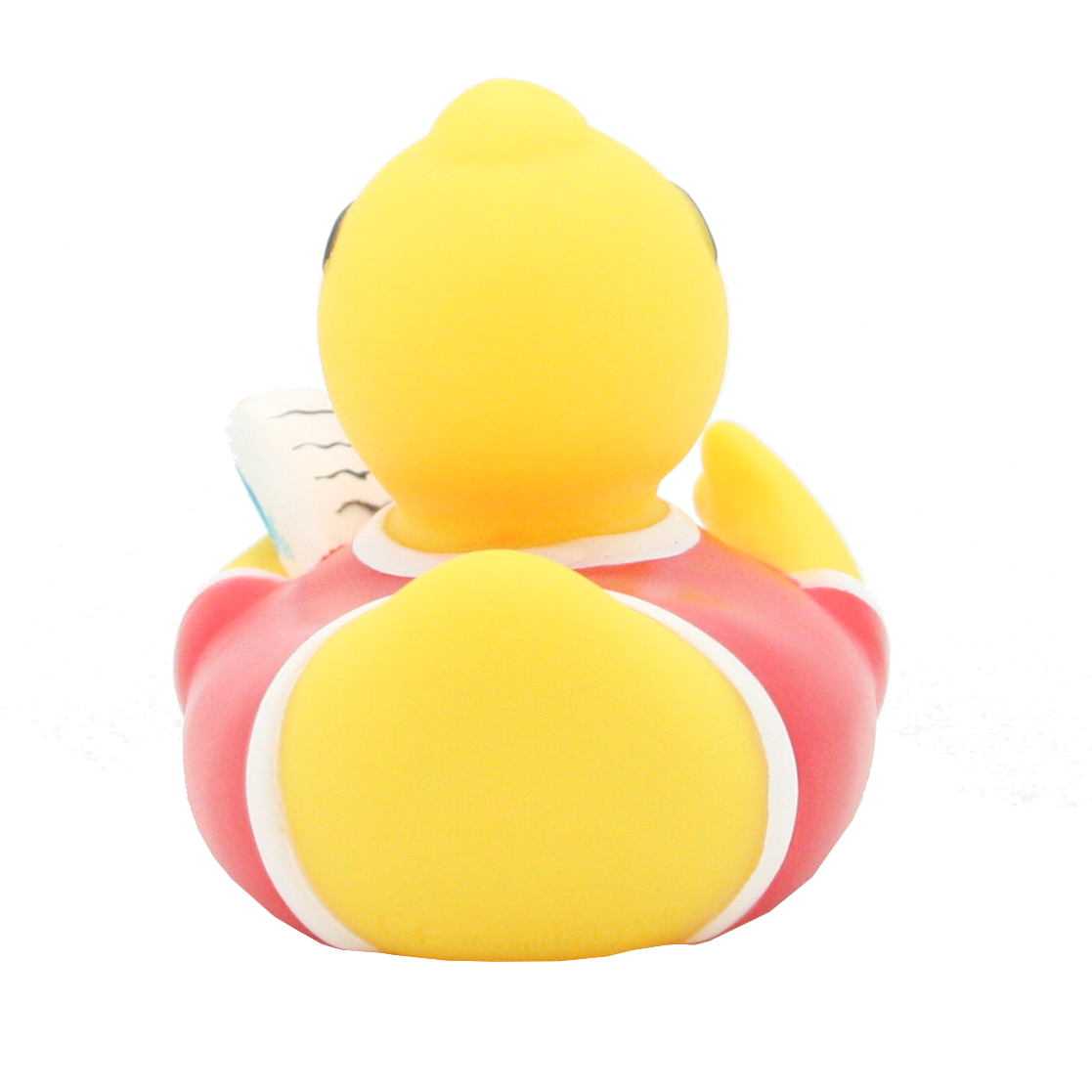 Teacher Duck