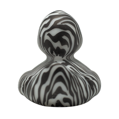 Zebra Duck