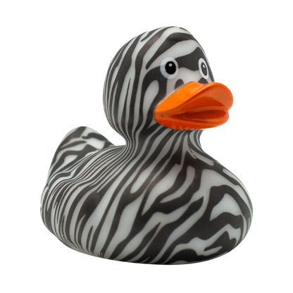 Zebra Duck