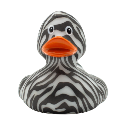 Zebra Duck