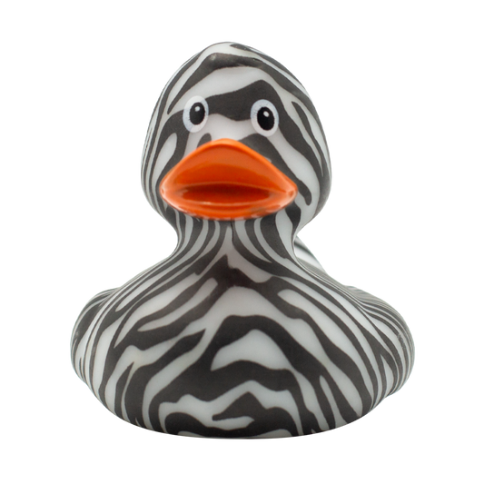 Zebra Duck